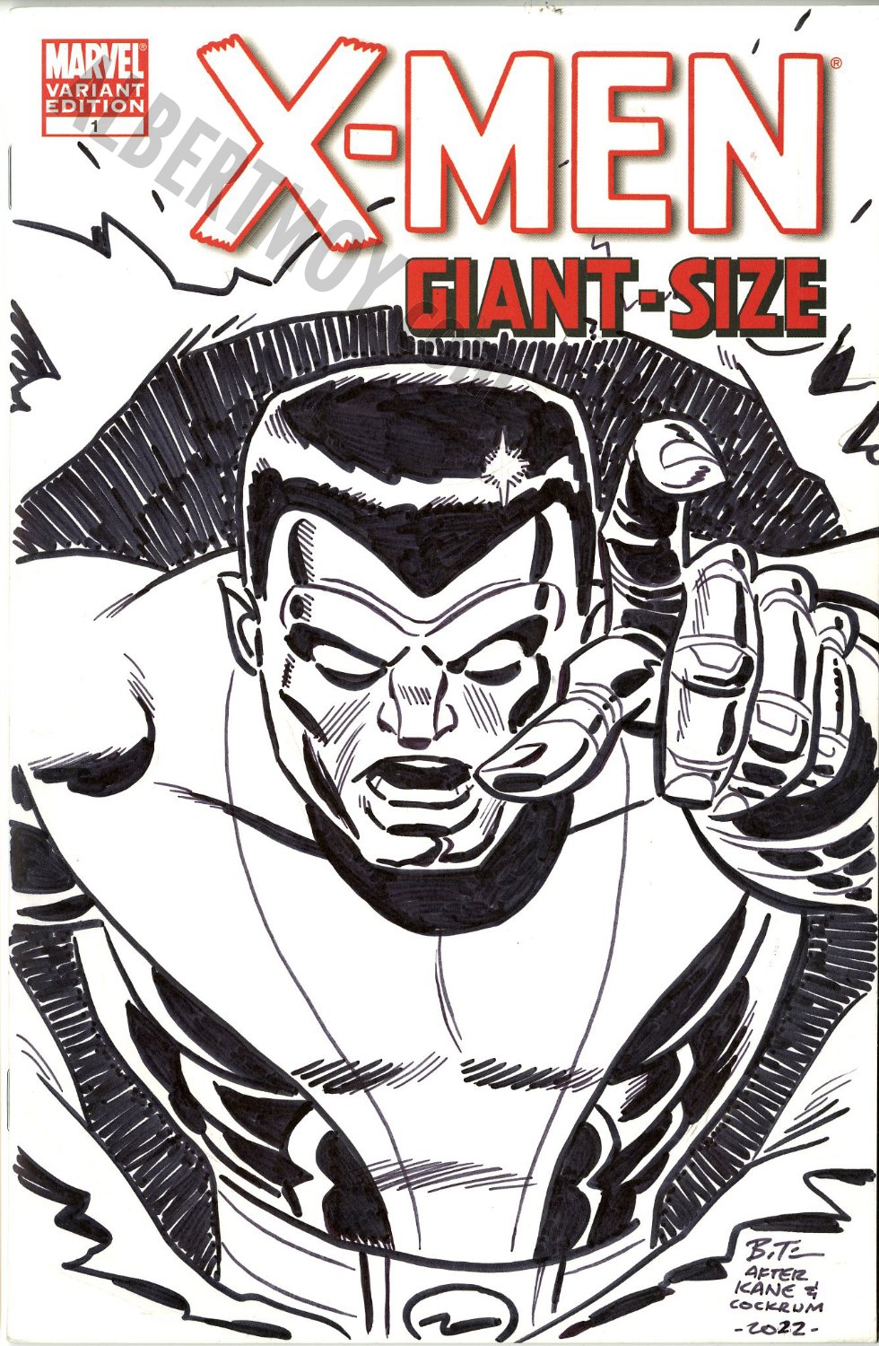 Albert Moy : Original Comic Art - Blank Cover Sketch By Bruce Timm